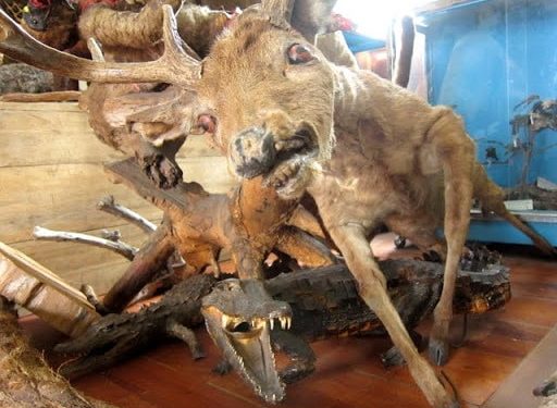 Above La Basilica de Nuestra Señora de Agua Santa in Baños, Ecuador