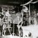 Academy of Natural Sciences