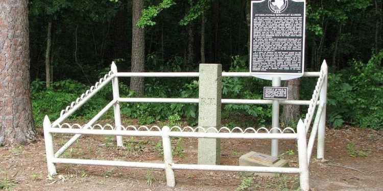 American History, Louisiana, Texas