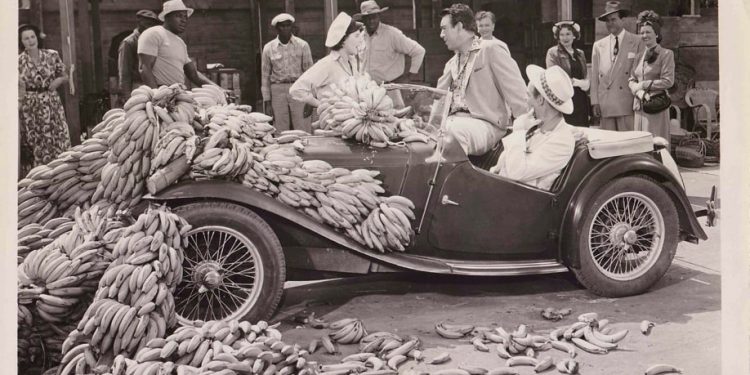 Banana Museum in Washington State