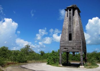 Bat Tower