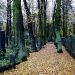 Berlin’s Weißensee Cemetery is Europe’s second largest Jewish Cemetery