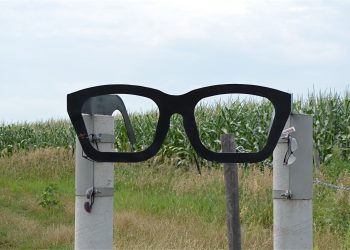 Buddy Holly Memorial Crash Site, Clear Lake, Iowa