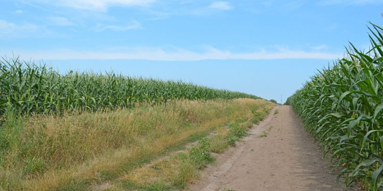 Buddy Holly Memorial Crash Site, Clear Lake, Iowa