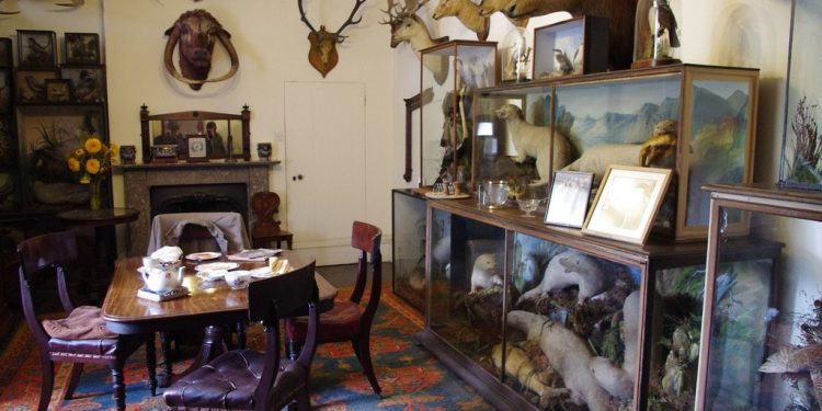 Calke Abbey, a historic manor home in Derbyshire, England