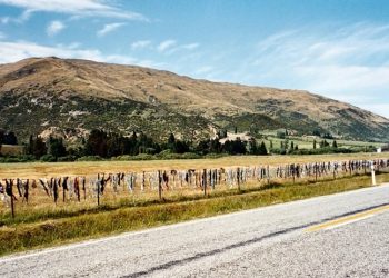 Cardrona Bra Fence, New Zealand