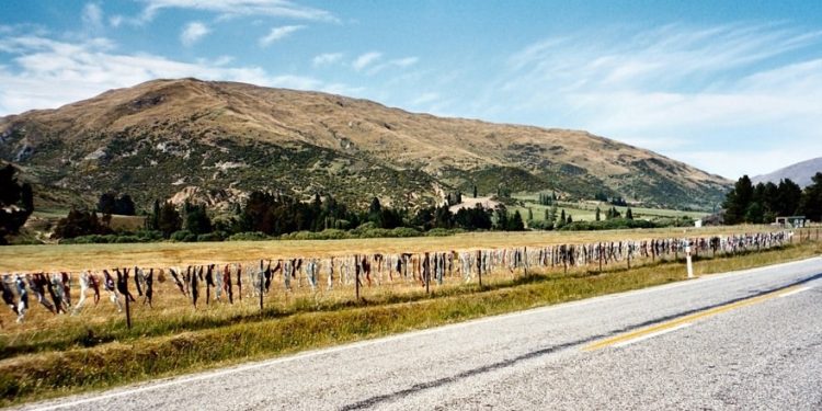 Cardrona Bra Fence, New Zealand