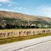 Cardrona Bra Fence, New Zealand