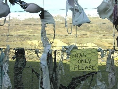 Cardrona Bra Fence, New Zealand