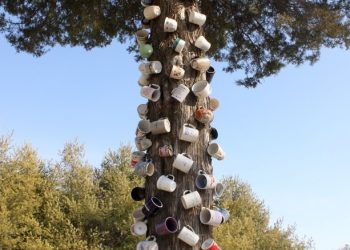Coffee Mug Tree, Catawba Valley Drive, west of Roanoke, Virginia