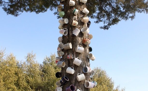 Coffee Mug Tree, Catawba Valley Drive, west of Roanoke, Virginia