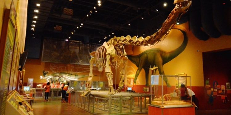 Fort Worth Museum of Science And History, Texas