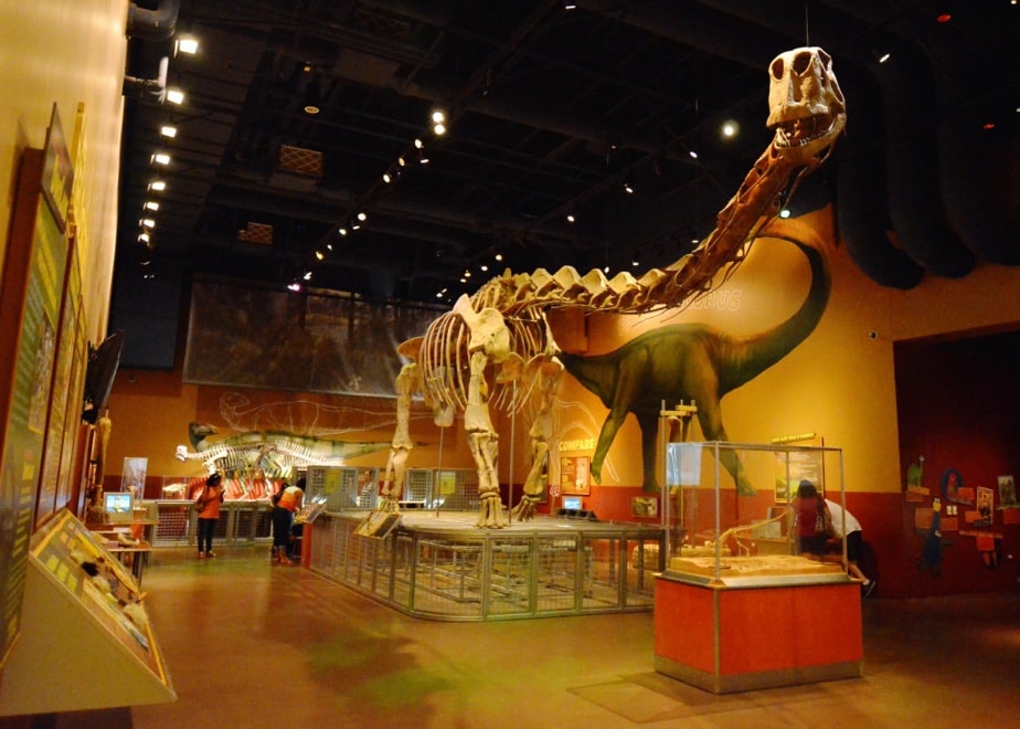 Fort worth museum of science jobs