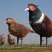 Gary Greff – Enchanted Highway in North Dakota