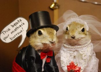 Gopher Hole Museum in Alberta, Canada