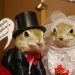 Gopher Hole Museum in Alberta, Canada