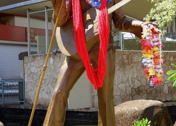 Hawaiian Elvis in Oahu