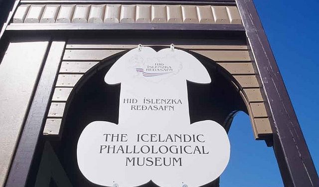 Icelandic Phallological Museum, Reykjavík