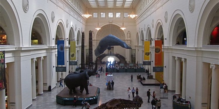 Interior of the Field Museum