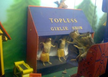 January 21st is officially Squirrel Appreciation Day
