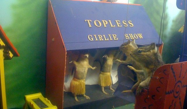 January 21st is officially Squirrel Appreciation Day