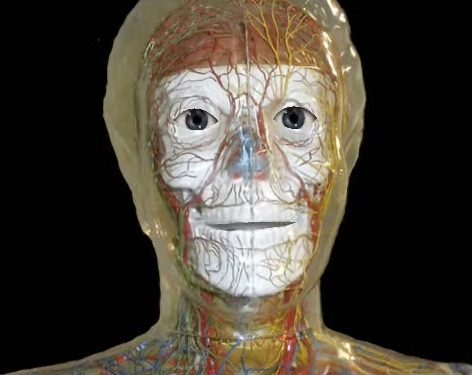 Kansas Learning Center for Health