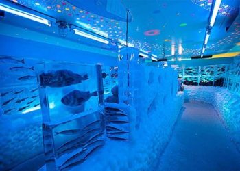 Kori no Suizokukan’s Frozen Aquarium in Kesennuma, Japan