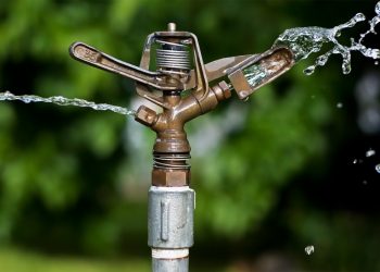 Lawn Sprinkler Museum by Bob Bosley