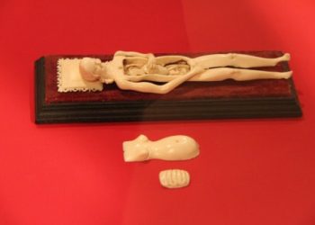 London’s Wellcome Collection