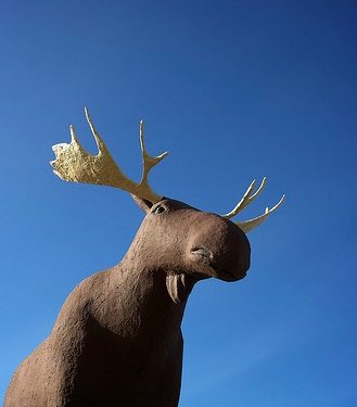 Mac the Moose, Canada