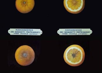 Museo della Frutta in Turin, Italy