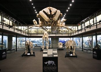 Museum of Osteology in Oklahoma City