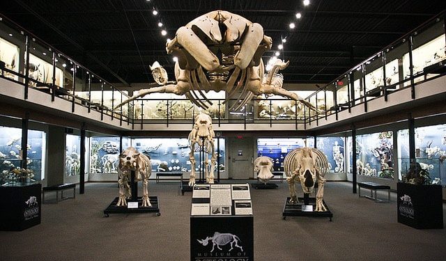 Museum of Osteology in Oklahoma City