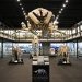 Museum of Osteology in Oklahoma City