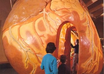 Museum of Science and Industry in Chicago