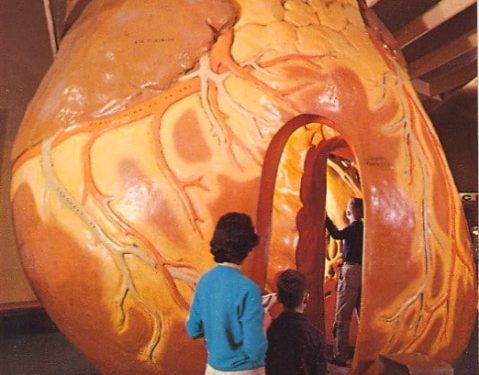 Museum of Science and Industry in Chicago