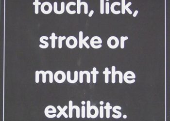 Museum of sex
