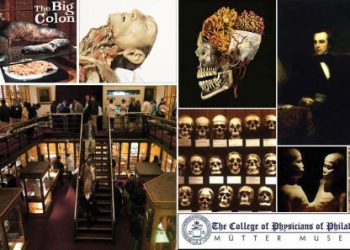Mütter Museum, College of Physicians of Philadelphia