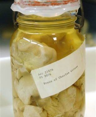 National Museum of Health and Medicine in Washington, D.C.