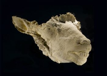 National Museum of Scotland