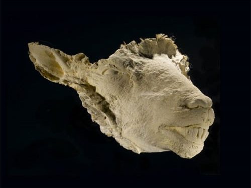 National Museum of Scotland