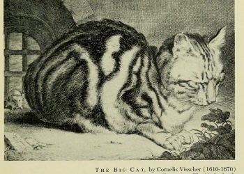 Nine Lives – Cooper Hewitt, Smithsonian Design Museum
