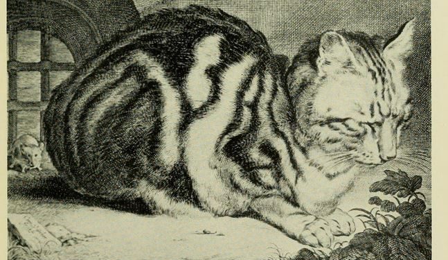 Nine Lives – Cooper Hewitt, Smithsonian Design Museum