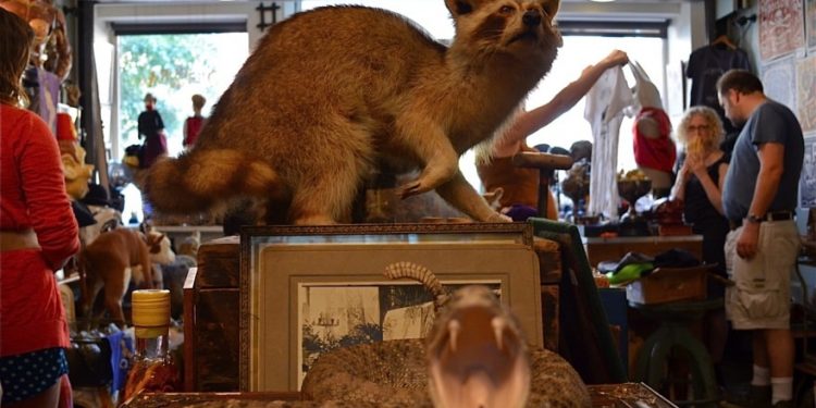 Obscura Antiques & Oddities in New York City’s East Village