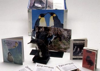 Penguin Museum in a Box from the Australian Museum