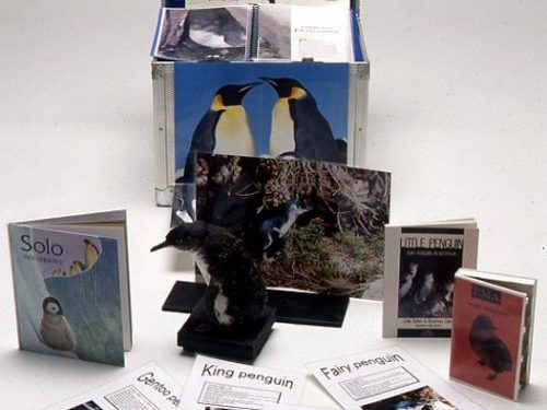 Penguin Museum in a Box from the Australian Museum