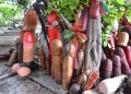Phallic Shrine in Bangkok, Thailand