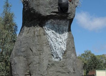 Sam the Koala, Australia