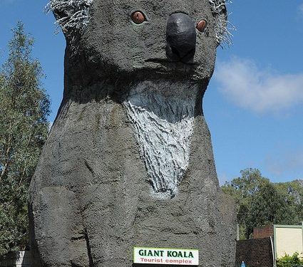 Sam the Koala, Australia
