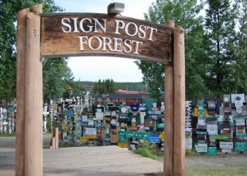 Sign Post Forest in Canada